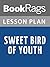 Lesson Plan Sweet Bird of Youth by Tennessee Williams
