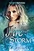 Fire Storm by Ally Shields