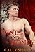 Wine and Honey (The Roman Boy, Book 2)