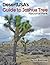 DesertUSA’s Guide To Joshua Tree National Park