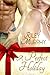 A Perfect Holiday (Riley's Holiday Collections)