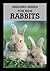 Amazing Series for Kids: Discover Bunny and Rabit Picture Book