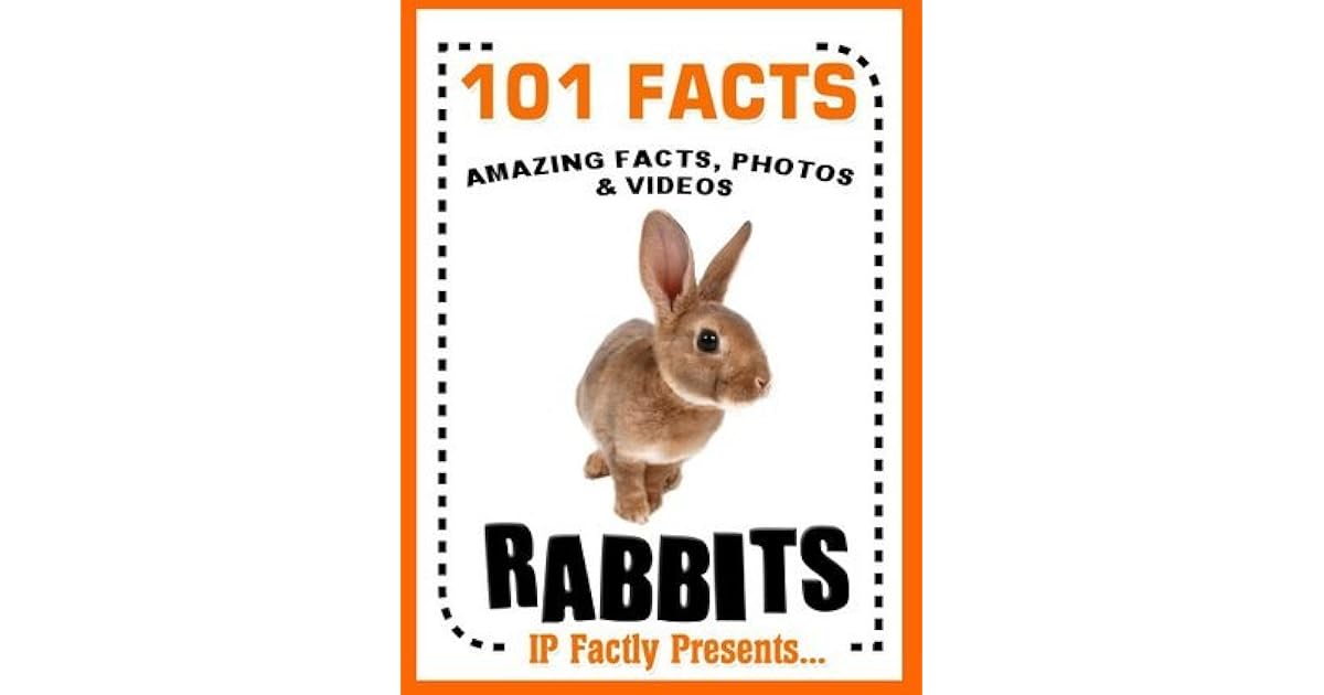 101 Facts... Rabbits! Rabbits & Hares Book for Kids. Amazing facts