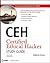 CEH Certified Ethical Hacker Study Guide