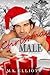 Christmas Male (M.K.'s Sexy Singles)