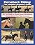 Horseback Riding: The Complete Beginner's Guide - All You Need To Know About Horseback Riding BEFORE Your Take Lessons!