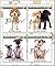 Adorable Dogs Collection Vo...