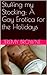 Stuffing my Stocking: A Gay Erotica for the Holidays