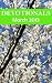 Devotionals- March 2013 (Northside Baptist Church Devotionals)