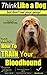 Bloodhound, Bloodhound Trai...