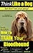 Bloodhound, Bloodhound Training AAA AKC: |Think Like a Dog, But Don’t Eat Your Poop! | Bloodhound Breed Expert Training |: Here’s EXACTLY How to Train Your Bloodhound
