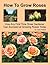 How To Grow Roses
