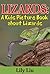 Children's Book About Lizards: A Kids Picture Book About Lizards with Photos and Fun Facts