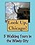 Look Up, Chicago! 5 Walking Tours In The Windy City (Look Up, America! Series)