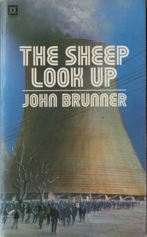 The Sheep Look Up