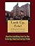A Walking Tour of Erie, Pennsylvania (Look Up, America! Series)