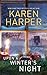 Upon A Winter's Night by Karen Harper