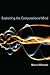 Explaining the Computational Mind (The MIT Press)