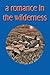 A Romance In The  Wilderness by Spence Keegan