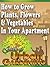 How to Grow Plants, Flowers & Vegetables In Your Apartment; A Guide To Urban Gardening
