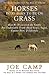HORSES WERE BORN TO BE ON GRASS - How We Discovered the Simple But Undeniable Truth About Grass, Sugar, Equine Diet, & Lifestyle