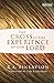 The Cross in the Experience of Our Lord