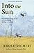 Into the Sun by Jerold Richert
