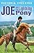 Joe and the Lightning Pony