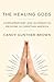 The Healing Gods by Candy Gunther Brown