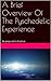 A Brief Overview Of The Pyschedelic Experience