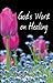 God's Word On Healing by Nancy Insley