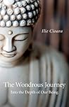 Wondrous Journey:...