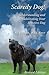 Scaredy Dog! Understanding & Rehabilitating Your Reactive Dog by Ali Brown Scaredy Dog! Understanding & Rehabilitating Your Reactive Dog by Ali Brown