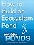 How to Build an Ecosystem Pond