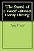 'The Sound of a Voice' - David Henry Hwang