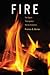 Fire--The Spark That Ignited Human Evolution