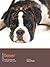 Boxer (Breed Expert Book 1)