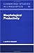 Morphological Productivity (Cambridge Studies in Linguistics Book 95)