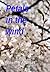 Petals in the wind (Sensual Stories of Rowenna Andreas Book 2)