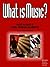 What is Music? (The Complete Guide to Learning Music Book 1)