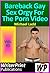 Bareback Gay Sex Orgy For The Porn Video by Michael Ladd