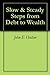 Slow & Steady Steps from Debt to Wealth by John E. Hulton