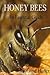 Honey Bees: An Essential Guide