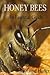 Honey Bees: An Essential Guide
