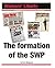 The formation of the SWP