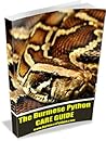 Burmese Python Care Guide