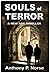 SOULS OF TERROR - A New Age Thriller