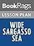 Lesson Plans Wide Sargasso Sea