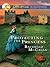 Protecting the Princess by Rachelle McCalla