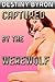 Captured by the werewolf by destiny byron
